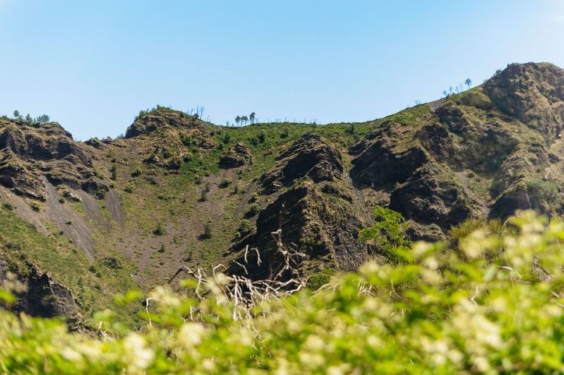 From Rome: Pompeii and Mount Vesuvius Day Trip With Lunch - Inclusions and Transportation