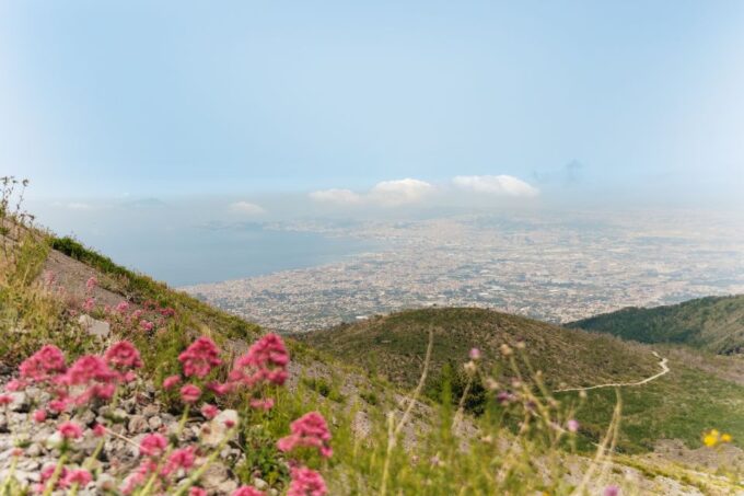 From Rome: Pompeii and Mount Vesuvius Day Trip With Lunch - Frequently Asked Questions