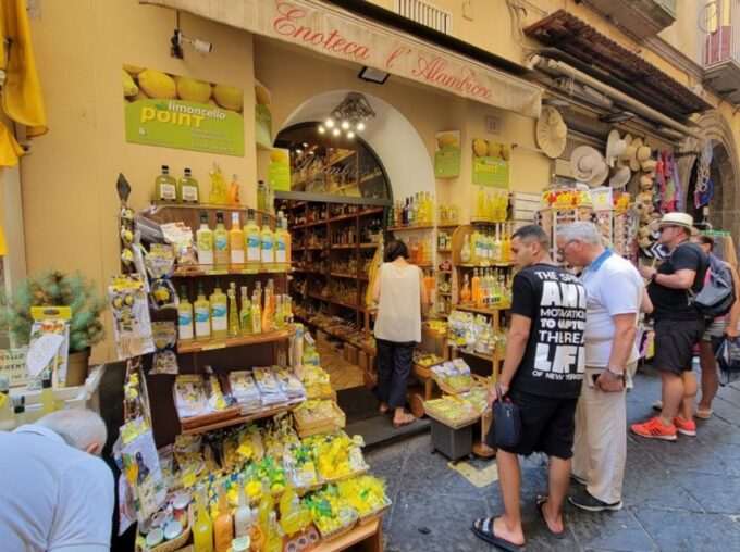 From Rome: Pompeii and Sorrento Day-Trip in a Small Group - Scenic Drive Along the Coast