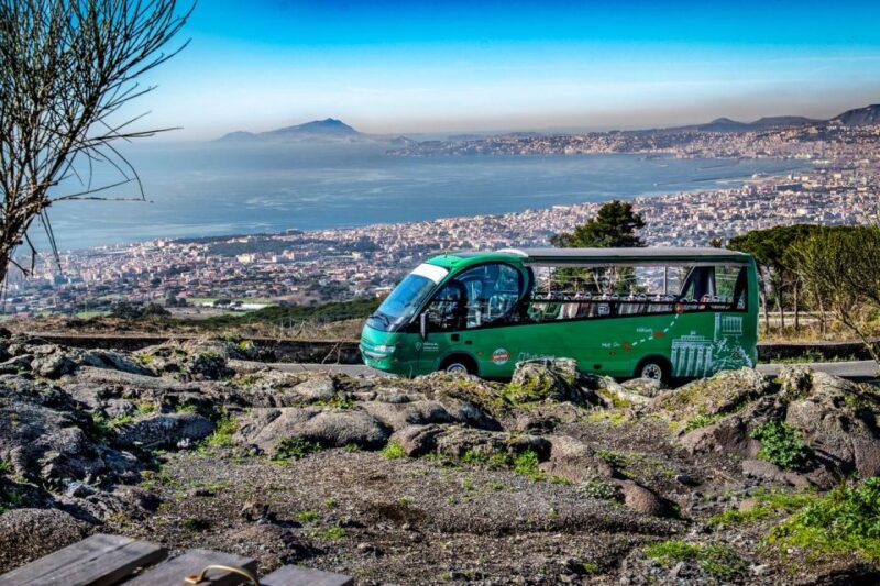 From Rome: Pompeii and Vesuvio Guided Day Trip With Lunch - Traveler Reviews