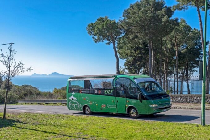 From Rome: Pompeii and Vesuvio Guided Day Trip With Lunch - Important Information