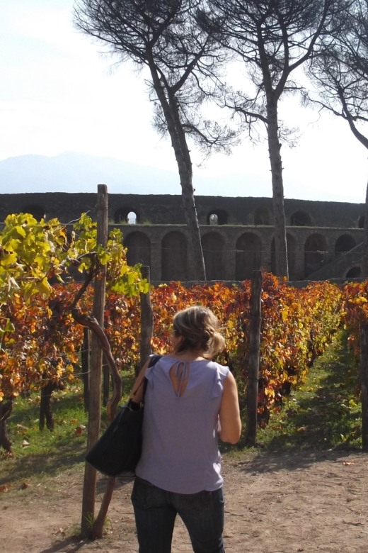 From Rome: Pompeii and Vesuvius Private Full-Day Tour - Inclusions