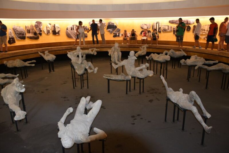 From Rome: Pompeii and Vesuvius Private Full-Day Tour - Customer Reviews