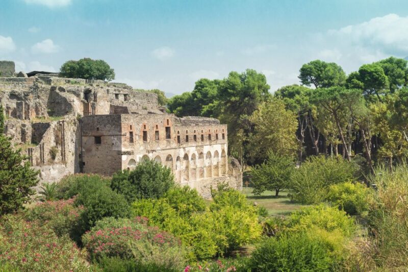 From Rome: Pompeii Private Full-Day Trip With Tour - Guided Experience