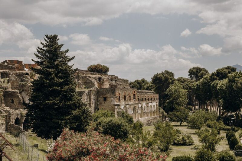 From Rome: Pompeii With Winery Lunch on Mount Vesuvius - Exclusions