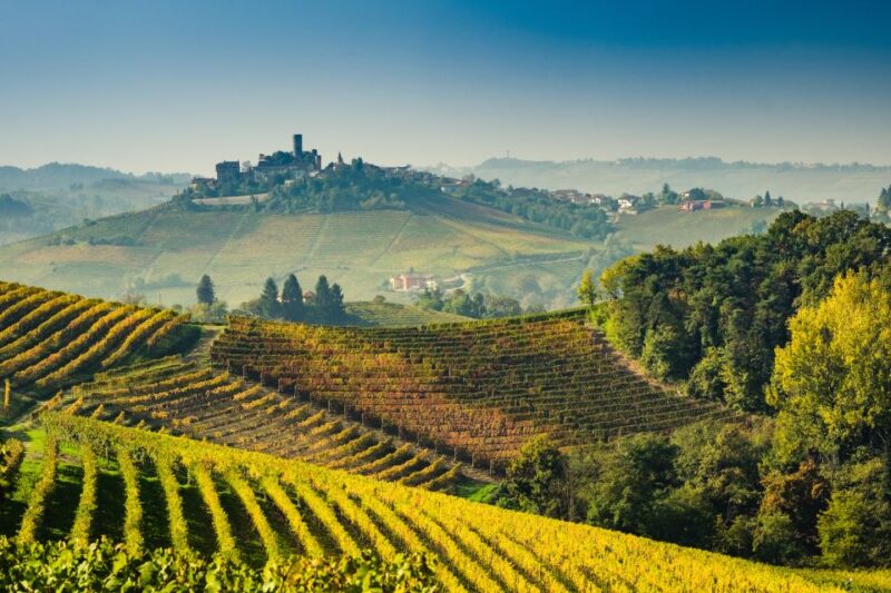 From Rome: Private Frascati Tour With Lunch & Wine Tasting - Transportation Overview