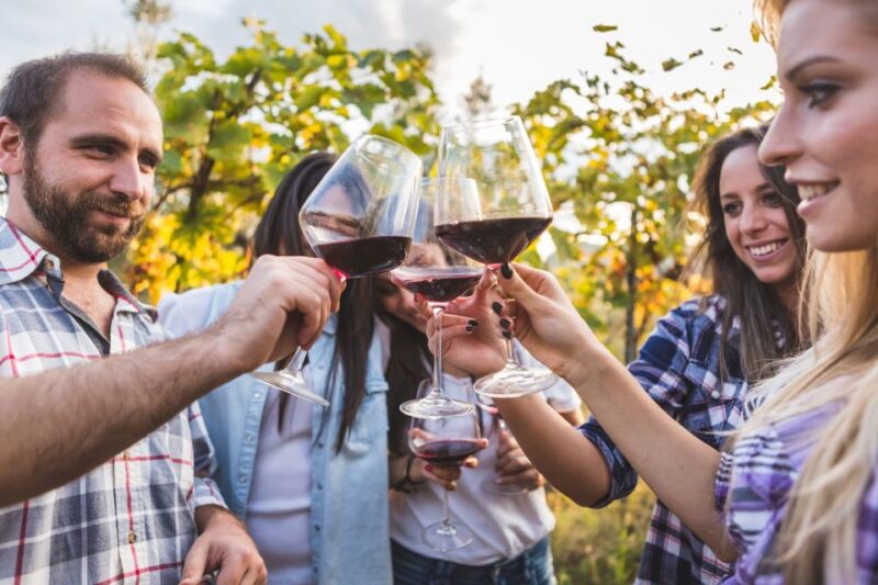 From Rome: Private Frascati Tour With Lunch & Wine Tasting - Guided Walking Tour