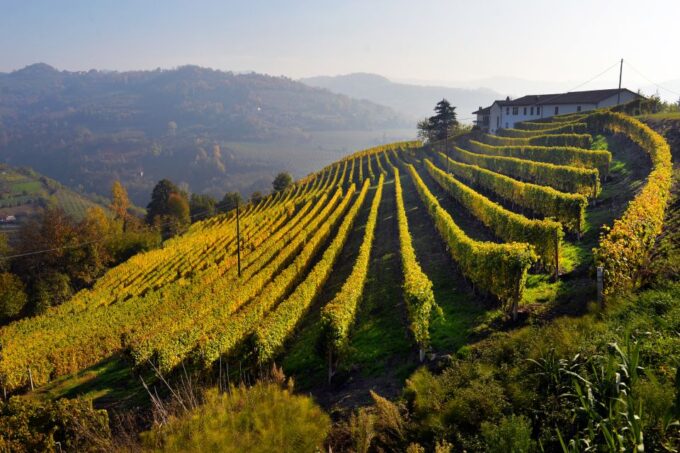 From Rome: Private Frascati Tour With Lunch & Wine Tasting - Lunch at Local Restaurant