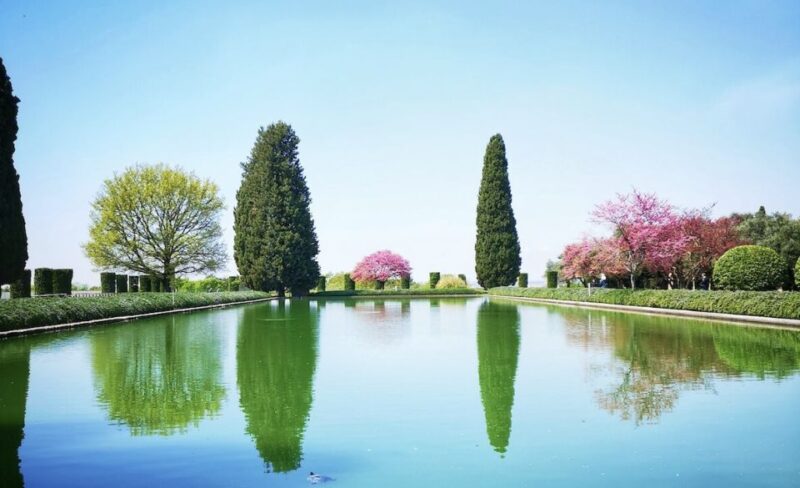 From Rome: Private Tivoli Villas Day Trip - Key Points