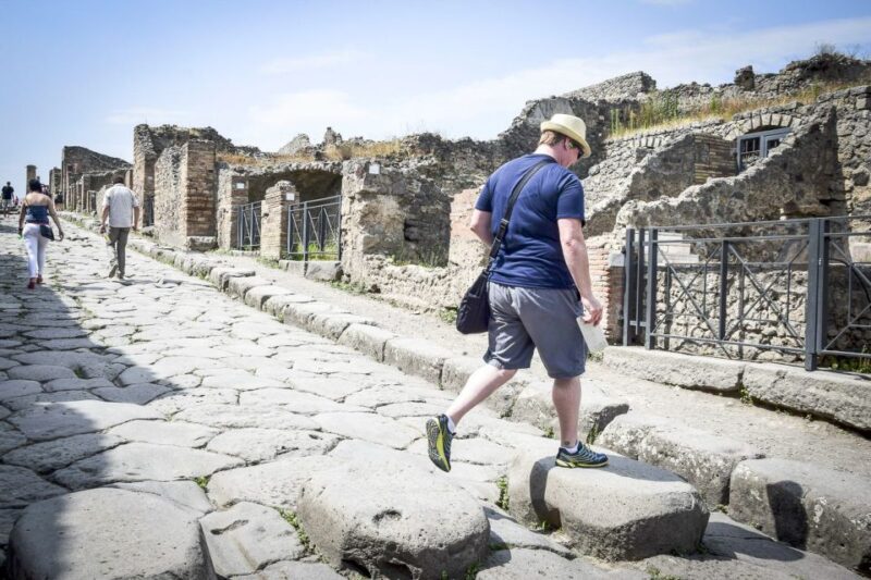 From Rome: Ruins of Pompeii Full-Day Audio Guide Tour - Important Information