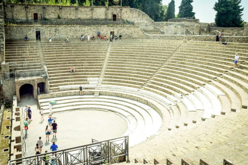 From Rome: Ruins of Pompeii Full-Day Audio Guide Tour - Customer Ratings and Reviews