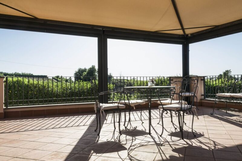 From Rome: Tasting Tour in Cellar Immersed Between Vineyards - Tour Details
