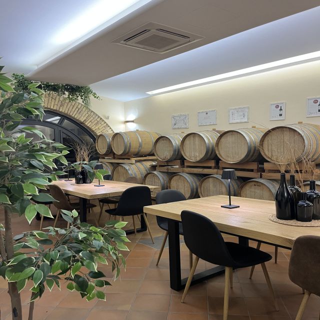 From Rome: Tasting Tour in Cellar Immersed Between Vineyards - Wine Tasting and Pairings