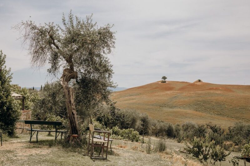 From Rome: Tuscan Medieval Towns & Winery Tour With Lunch - Departure and Duration