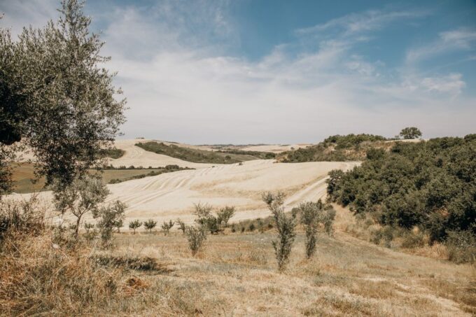 From Rome: Tuscan Medieval Towns & Winery Tour With Lunch - Praise and Reviews