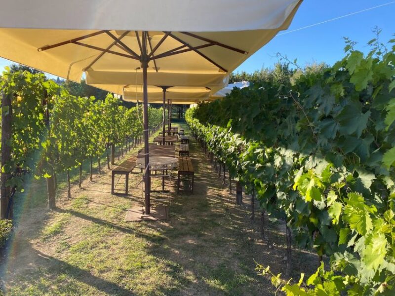 From Rome: Tuscany Full Day Wine Tasting Tour, Small Group - Pickup and Drop-off