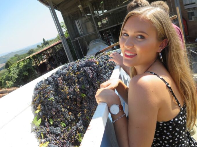 From Rome: Tuscany & Siena With Wine Tasting and Lunch - Experience Authentic Tuscan Cuisine