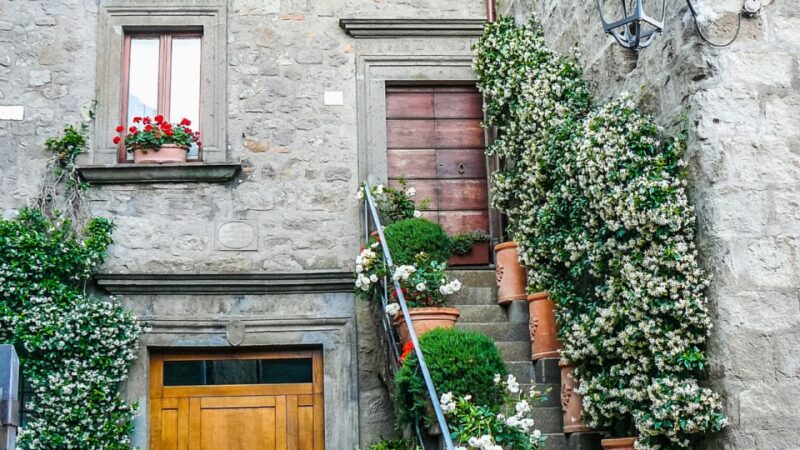 From Rome: Viterbo, Day Tour With Private Transfer! - Inclusions