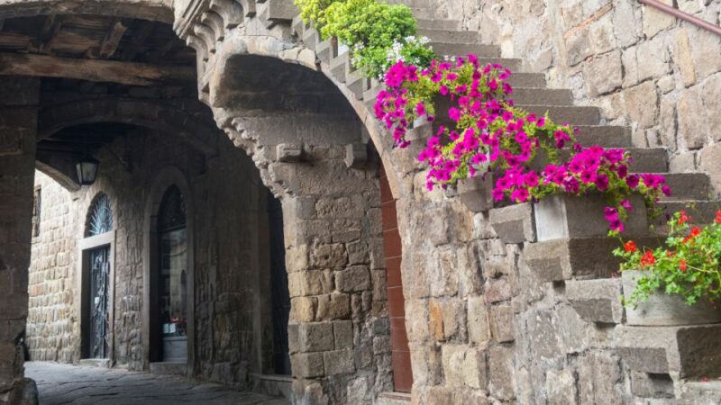 From Rome: Viterbo, Day Tour With Private Transfer! - Logistics