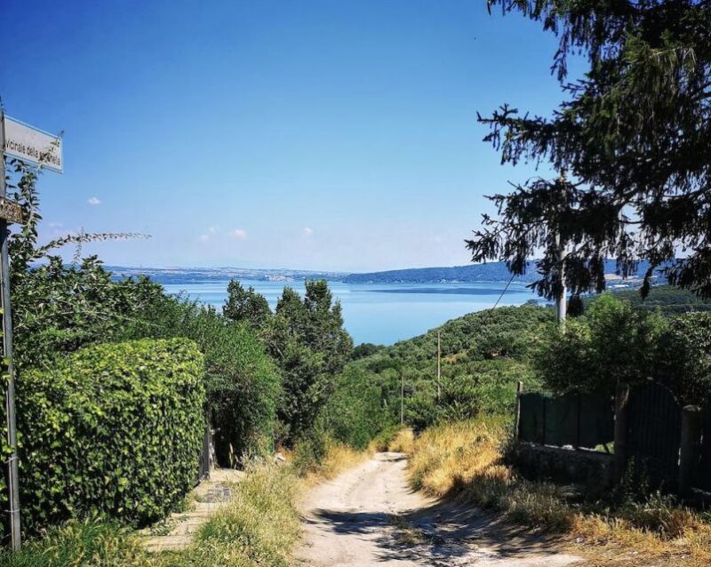 From Rome:Private Day Trip to Bracciano, Caprarola & Viterbo - Transportation and Guide