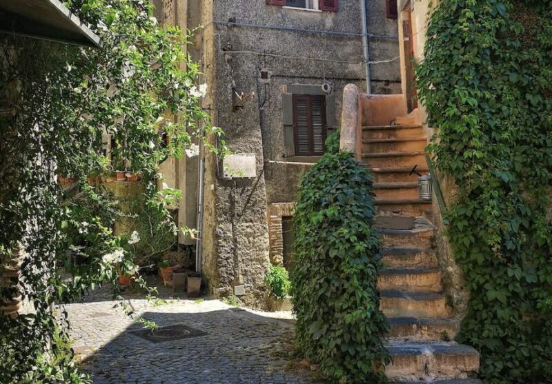 From Rome:Private Day Trip to Bracciano, Caprarola & Viterbo - Viterbos Medieval Quarter