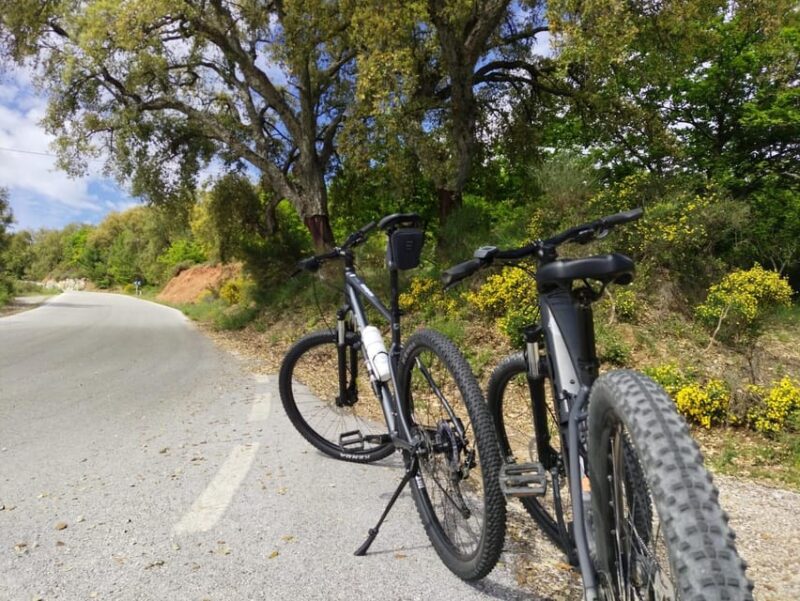 From Ronda: Guided Cycling - Blue Village - Moderate Level - Detailed Itinerary and Route