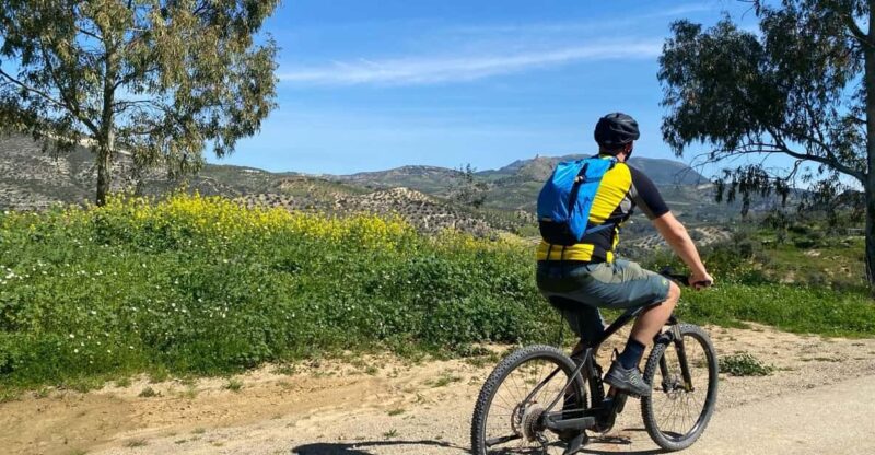 From Ronda: via Verde De La Sierra Cycle Tour - Easy 21KM - Tour Overview