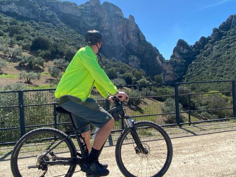 From Ronda: via Verde De La Sierra Easy Cycling Tour - Itinerary and Experience
