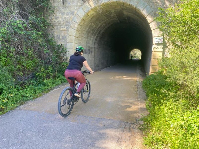 From Ronda: via Verde De La Sierra Easy Cycling Tour - Transportation and Equipment