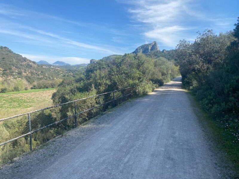 From Ronda: via Verde De La Sierra Easy Cycling Tour - Participant Restrictions