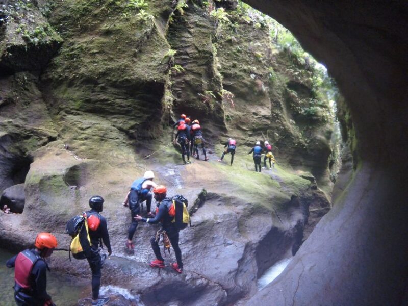 From Roseau: Canyon Experience - Adventure Details