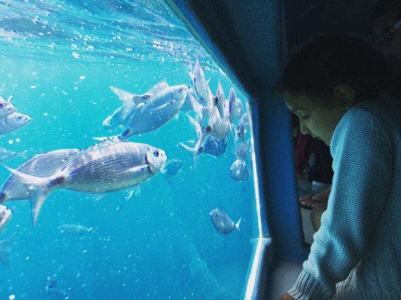 From Roses: Cap Norfeu Boat Cruise & Swimming - Onboard Experience
