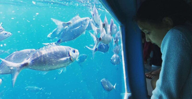 From Roses: Cap Norfeu Boat Cruise & Swimming - Booking Information