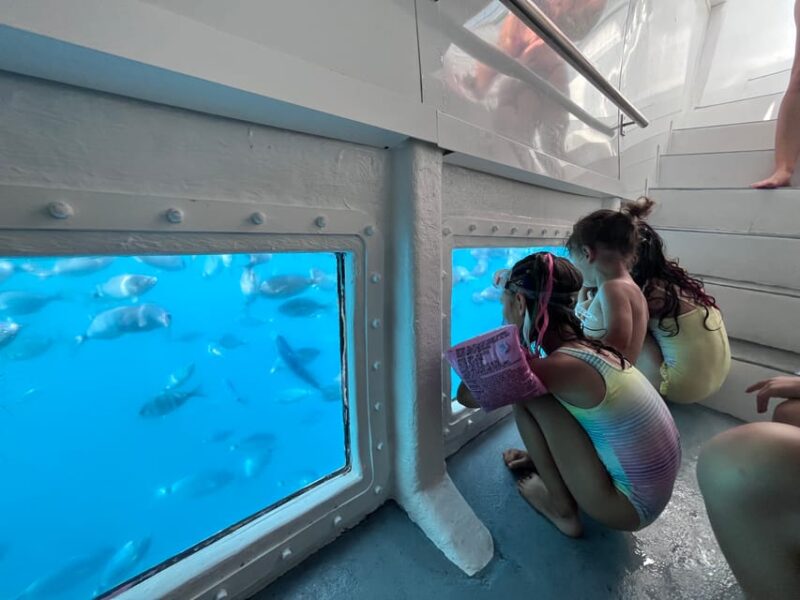 From Roses: Cap Norfeu Glass Bottom Boat Tour & Tamariu Cave - Key Points
