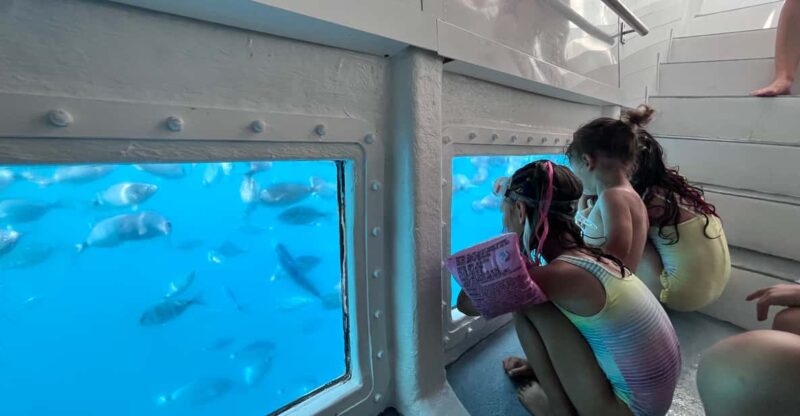 From Roses: Cove Murtra Catamaran Cruise - Customer Reviews