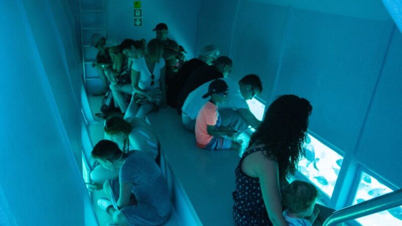 From Roses: Medes Islands Boat Tour With El Estartit Visit - Natural Attractions