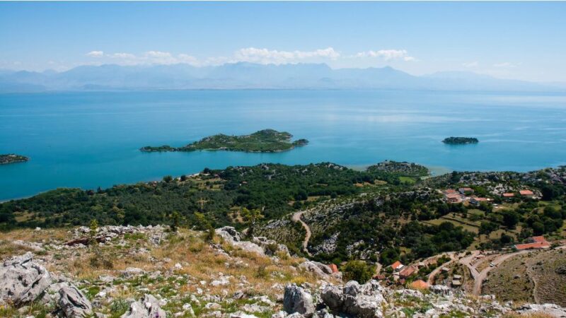 From Roses: Medes Islands Boat Tour With El Estartit Visit - Marine Life Viewing