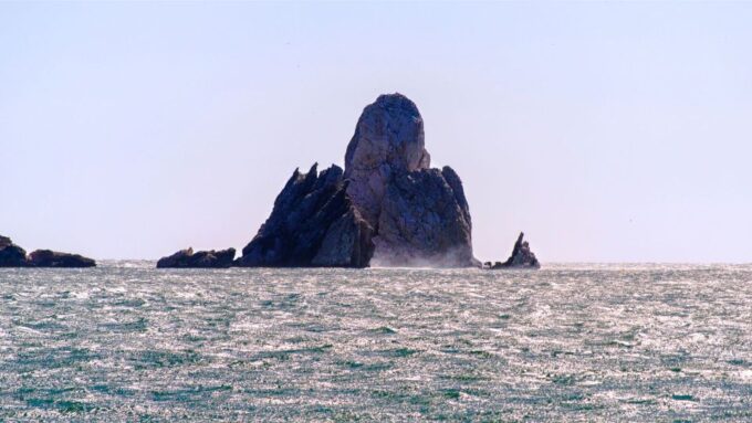 From Roses: Medes Islands Boat Tour With El Estartit Visit - Participant Suitability
