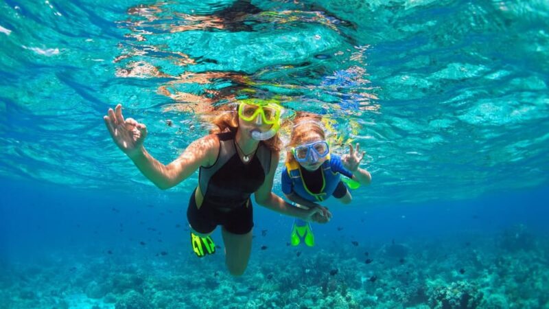 From Roses: Midday Catamaran Tour - Cap De Creus - Booking Information