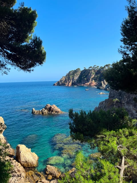 From Roses:Adventure in Cap De Creus: Discover and Swim in a Wild Cove - Discovering Tamariu Cave and Linferno Cave