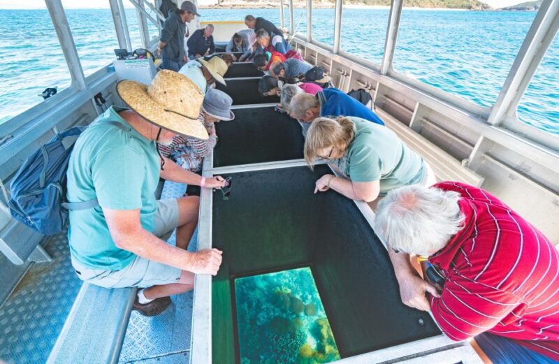 From Rosslyn: Great Keppel Island Adventure Tour With Lunch - Activities and Experiences