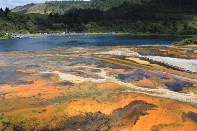 From Rotorua: Taupo Day Trip With Orakei Korako or Waiotapu - Geothermal Landscapes and Features