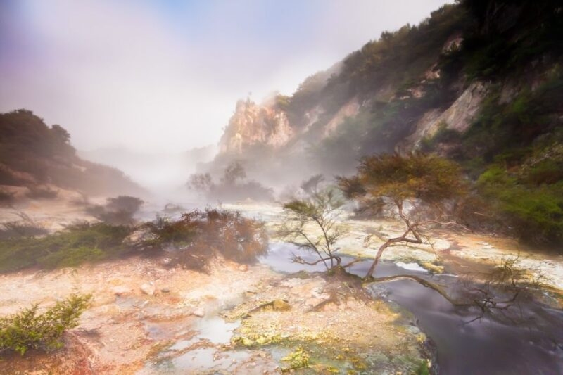 From Rotorua: Wai O Tapu & Waimangu Eco Thermal Morning Tour - Itinerary Details