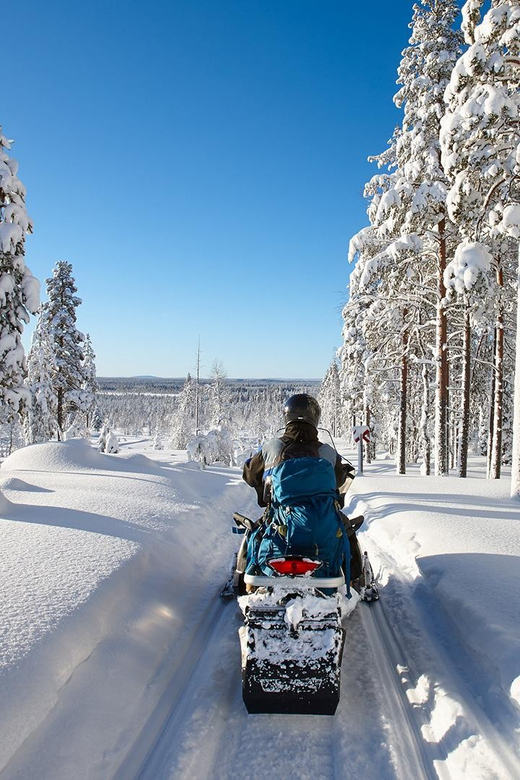 From Rovaniemi: 2-Hour Lapland Wilderness Snowmobile Safari - Booking and Availability