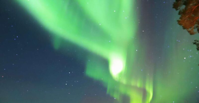 From Rovaniemi: Aurora Borealis Trip in Lapland Lakeside - Customer Feedback