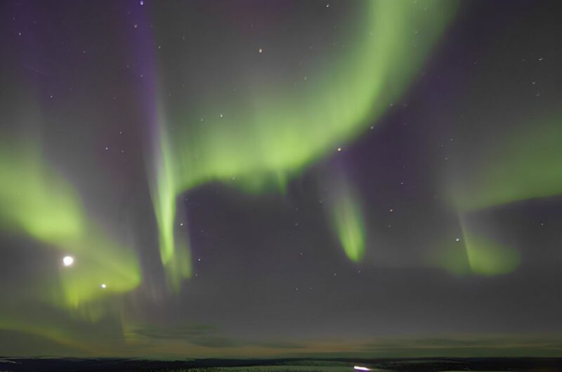 From Rovaniemi: Aurora Dreamscape Tour in the Wild - Tour Overview and Pricing