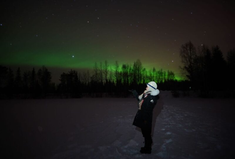 From Rovaniemi: Aurora Dreamscape Tour in the Wild - Tour Description