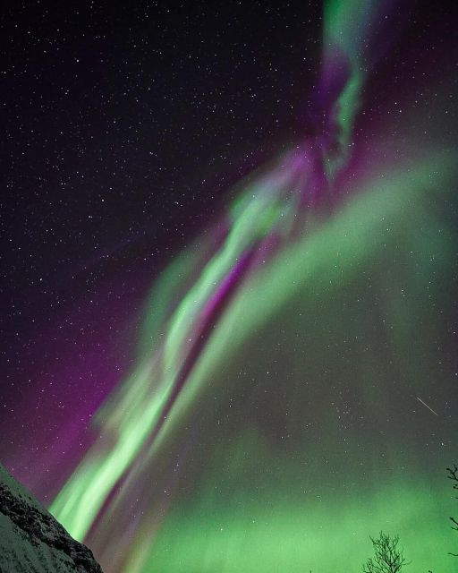 From Rovaniemi: Aurora Dreamscape Tour in the Wild - Important Information and Requirements