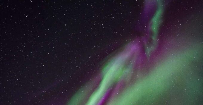 From Rovaniemi: Aurora Dreamscape Tour in the Wild - Sum Up