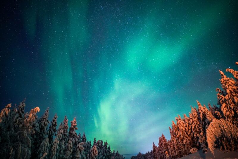 From Rovaniemi: Family-Friendly Northern Lights Tour - Tour Overview